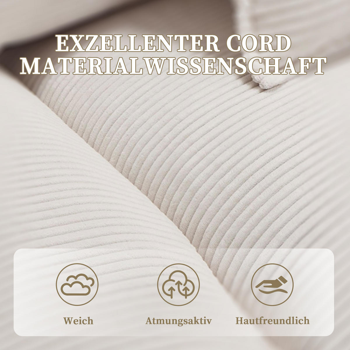 2-SITZER Sofa Samt mit ultratiefem Sitz und Kissen 224/81/81 cm Beige - Beige, Textil (81/224/81cm) - Redom