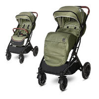 KINDERWAGEN Storm grün Buggy, Fußabdeckung, PU-Räder, Sonnendach, verstellbar - Grün, Metall (90/54/109cm) - Lorelli