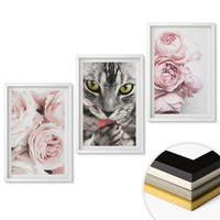 WANDBILDER 3er-Set - 40x60 cm Weißer Rahmen - Katze in rosa Blumen - Weiß, Kunststoff (40/60cm) - ArtPrintCave
