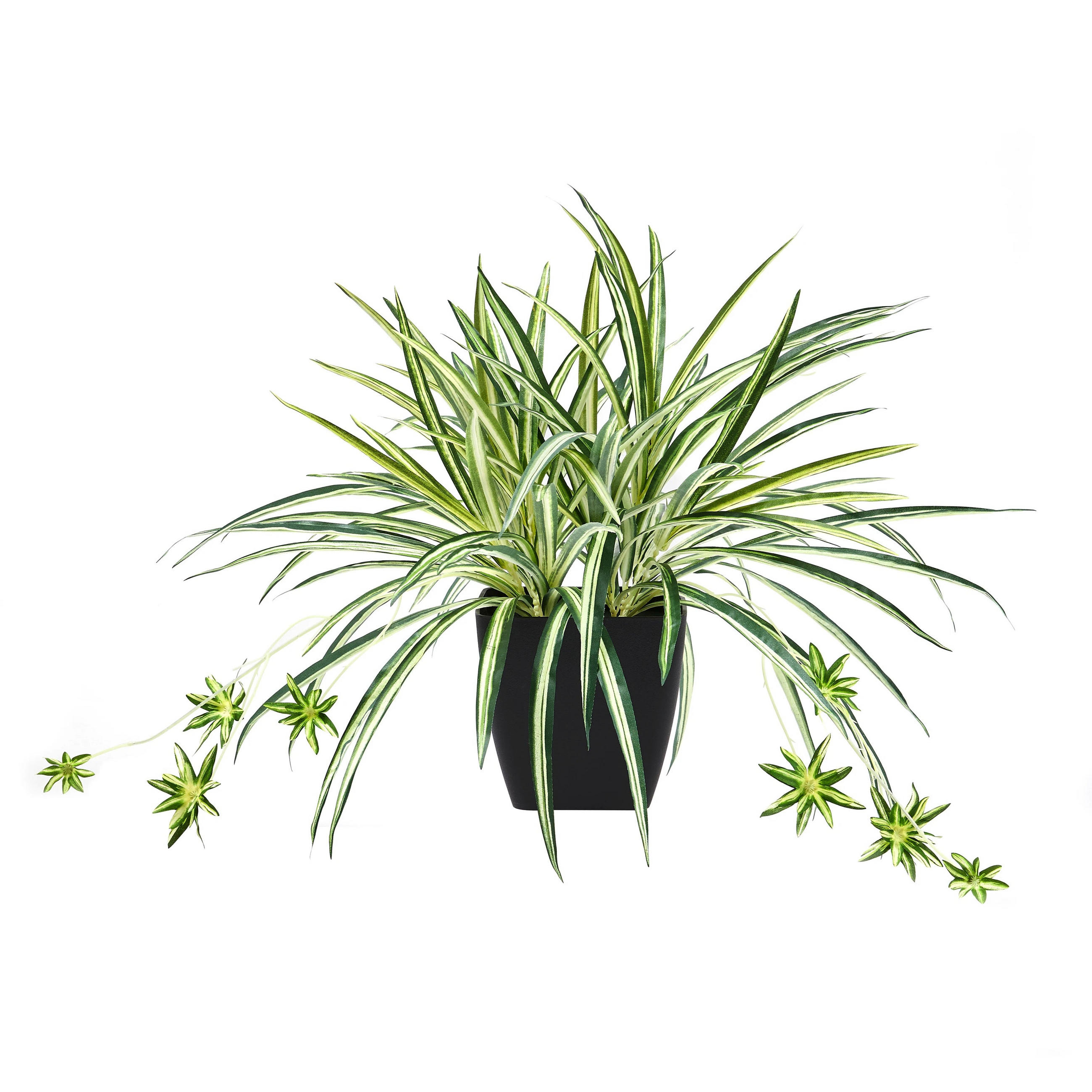 KUNSTPFLANZE Künstliche Grünlilie – Liora 50 cm - Grün, Kunststoff (50cm) - aplanta