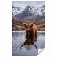 TAPETE - Schottischer Hochländer - Braun - Wasser - 180x300 cm - Braun, Papier (180/300cm) - OnlyWow