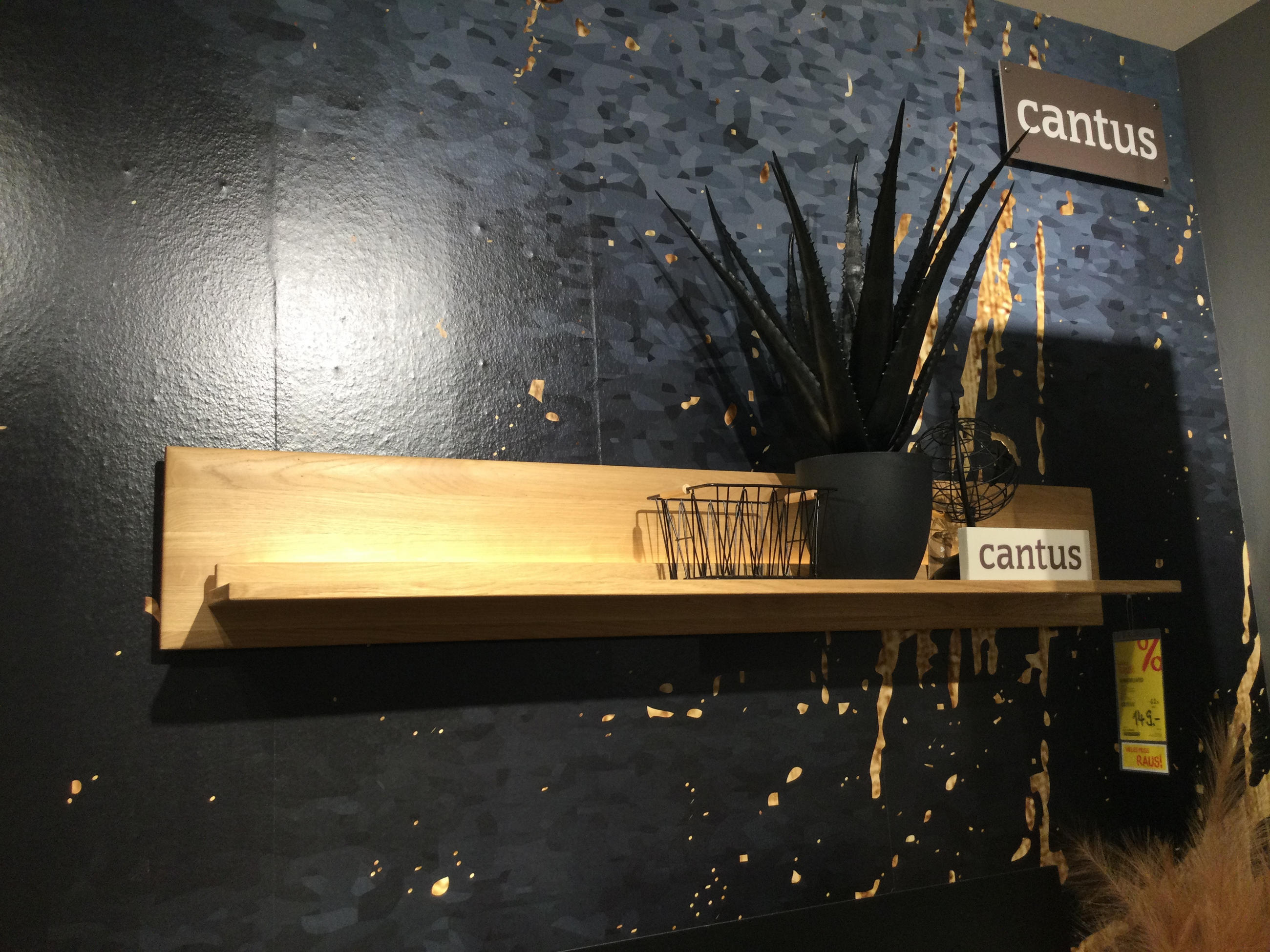 WANDBOARD ASINARA - Cantus