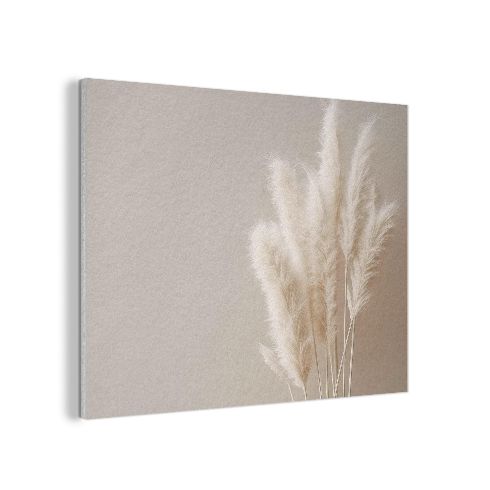 AKUSTIKPANEEL Pampasgras - Federn - Pastell - Weiß 100x70 cm - Naturfarben, Textil (100/0.9/70cm) - MuchoWow