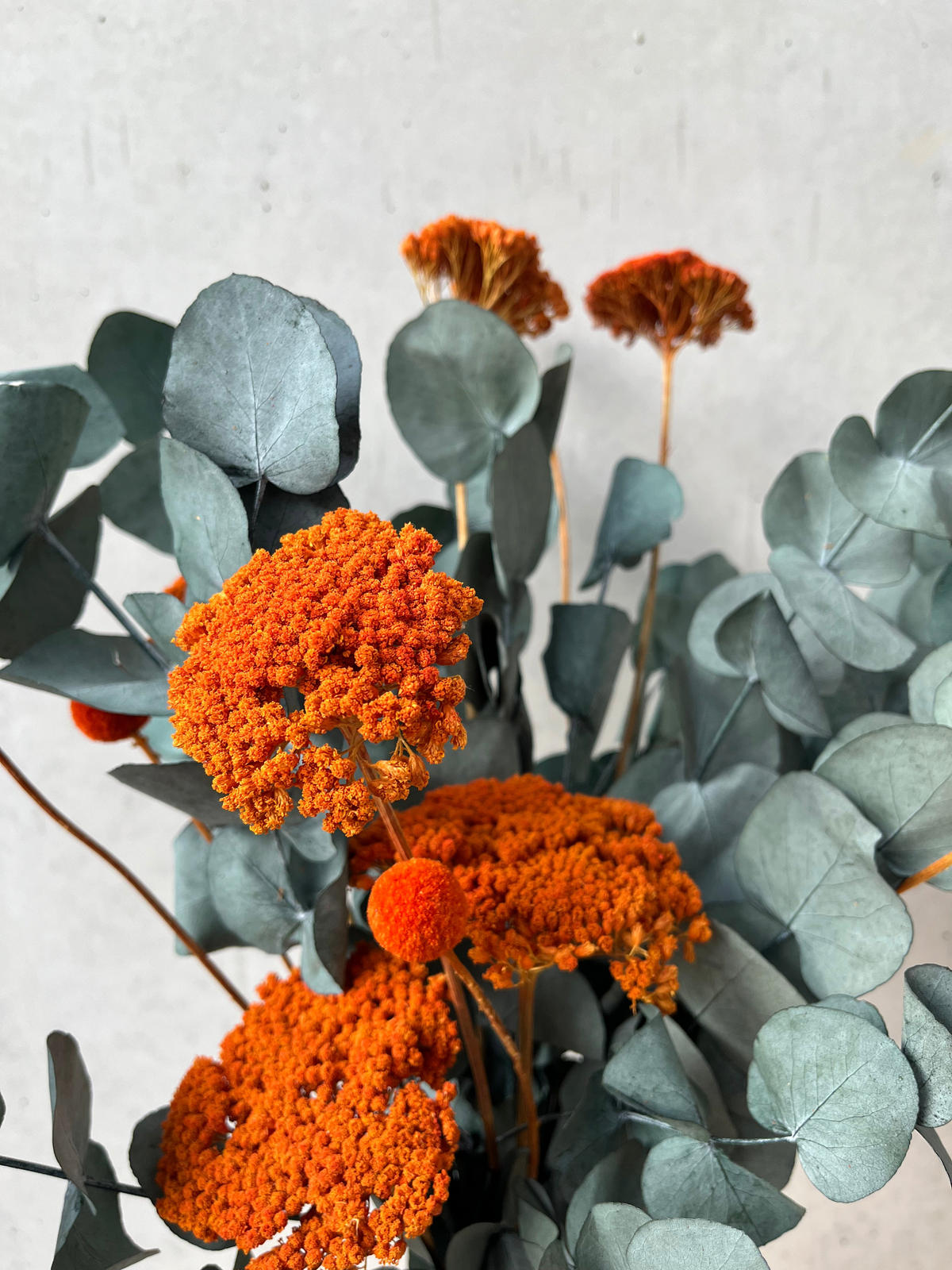 POP of Color: Eukalyptus orange - orange / 40 cm - Orange, Naturmaterialien (40cm) - Lykke & You