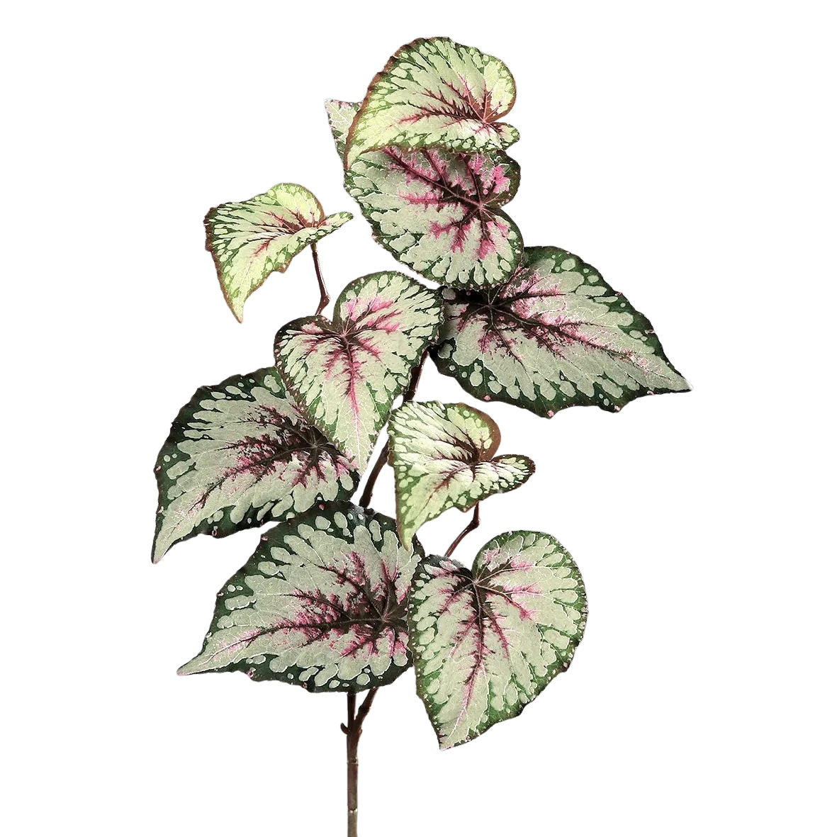 KUNSTPFLANZE Künstliche Begonie - Exel 65 cm - Grün, Kunststoff (65cm) - aplanta