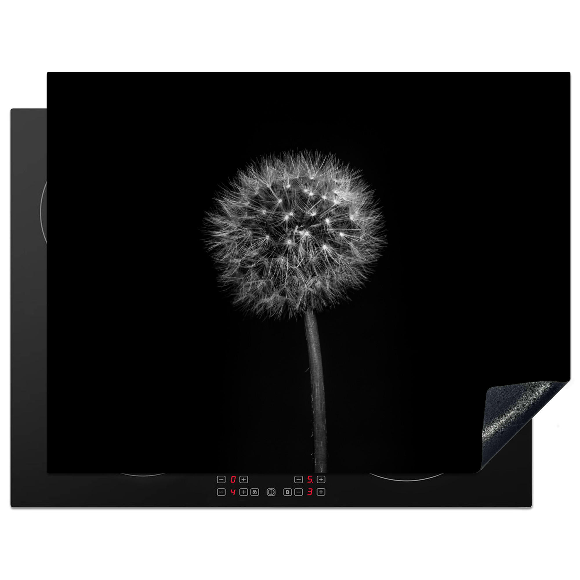 HERDABDECKPLATTE Löwenzahn - Schwarz - Floral - Botanisch 77x59 cm - Grau, Kunststoff (77/0.2/59cm) - MuchoWow