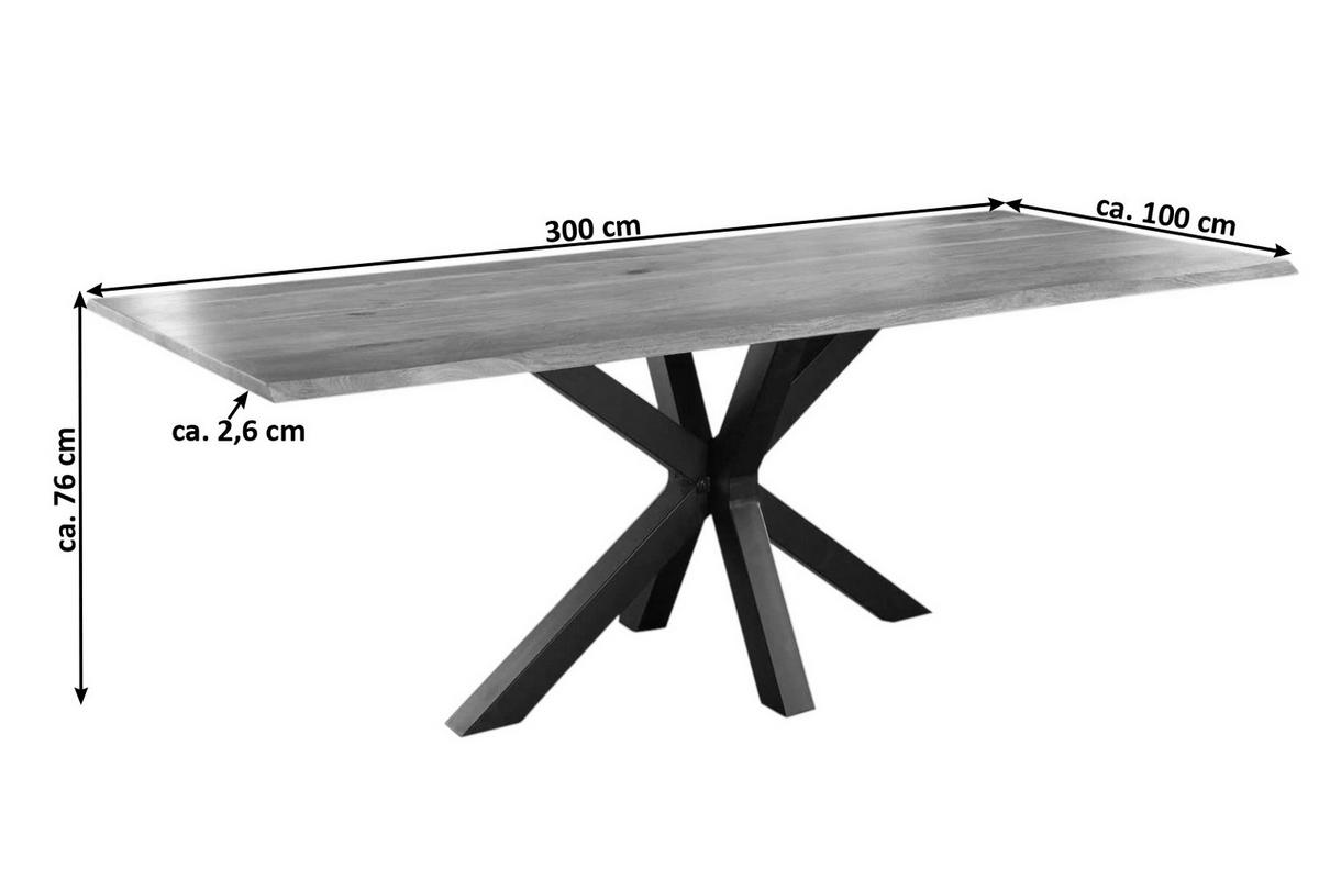 ESSTISCH SPYRO - Beige/Schwarz, Holz/Metall (100/300/76cm) - SAM