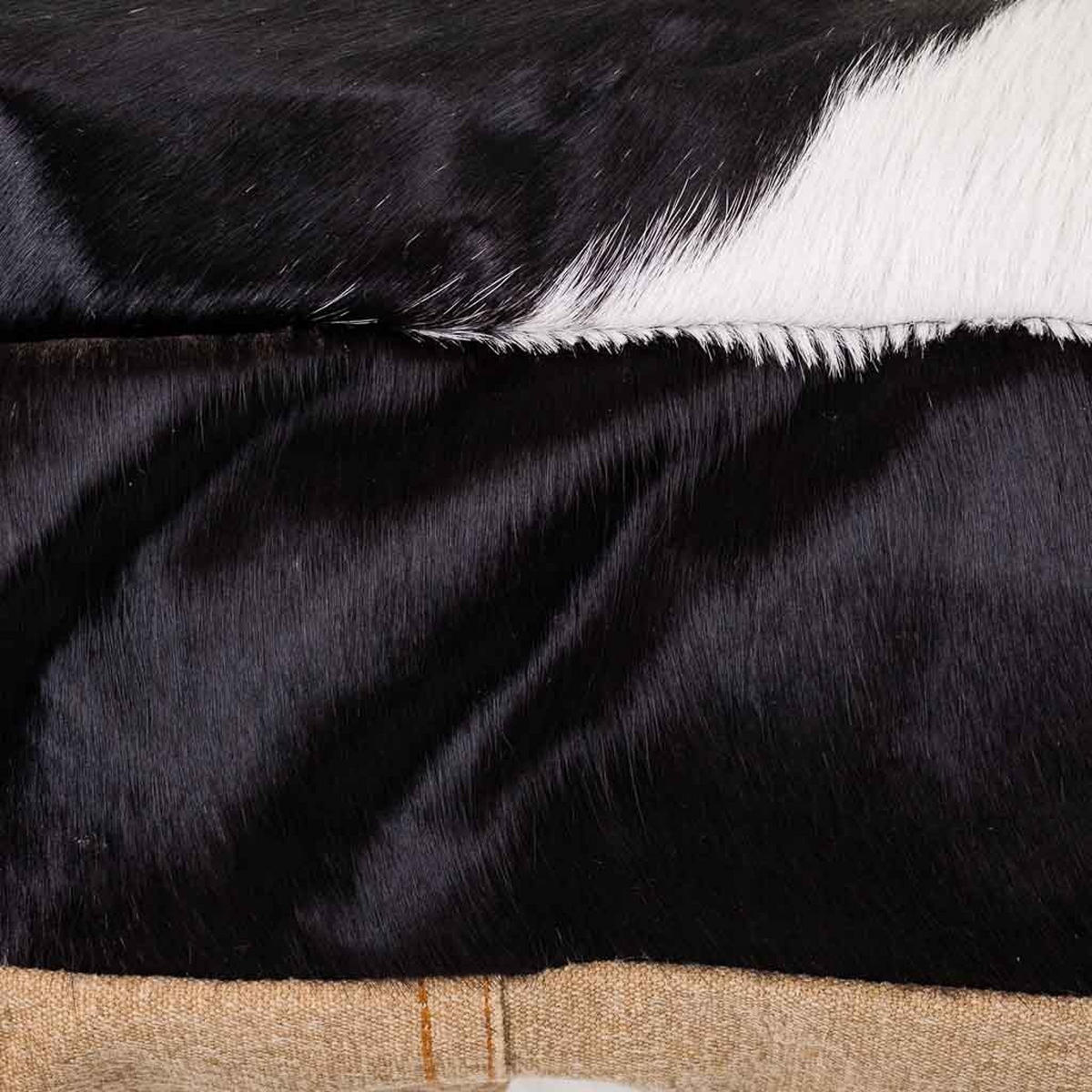 DEKORATIONSSTÜCK, schwarz, 48x10cm - Multicolor, Fell (48/48/10cm) - Wanderlust