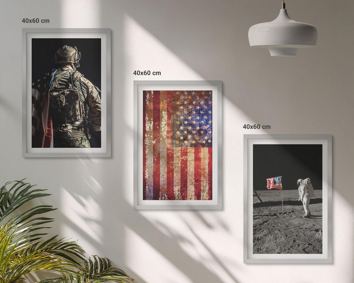 WANDBILDER 3er Set - 40x60 cm Silberner Rahmen - Amerikanische Symbole, USA-Flagge - Silberfarben, Kunststoff (40/60cm) - ArtPrintCave