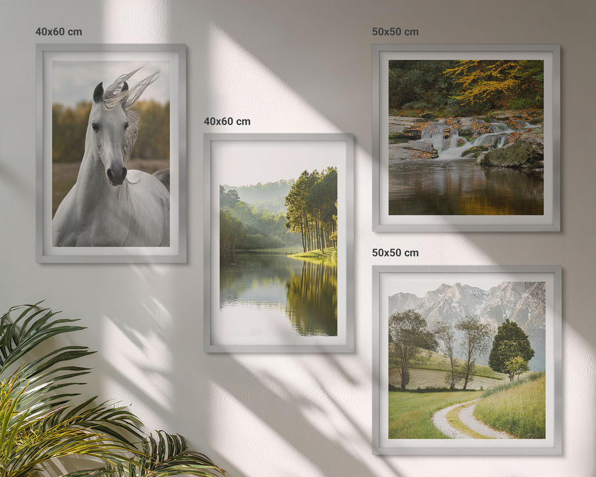 WANDBILDER 4er Set - 50x50 cm & 40x60 cm Silberner Rahmen - Natur des Flusses White Horses - Silberfarben, Kunststoff (50/50cm) - ArtPrintCave