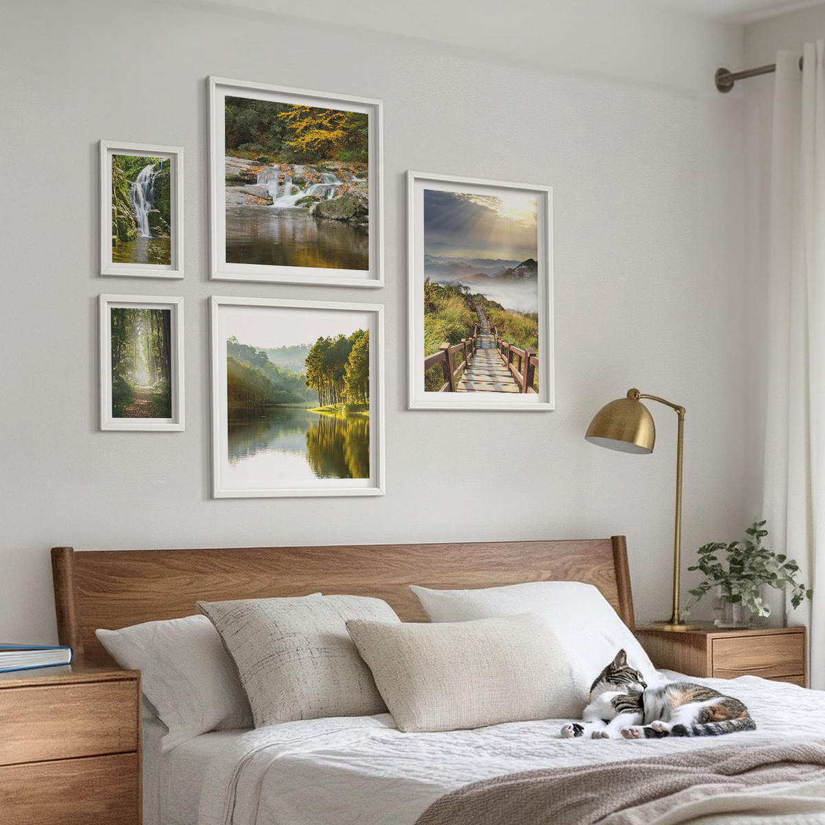 BILDER SET 5er Set - 50x50 cm & 20x30 cm & 40x60 cm Weißer Rahmen - Grüne Blätter von eleganten Sukkulenten - Weiß, Kunststoff (40/60cm) - TULUP