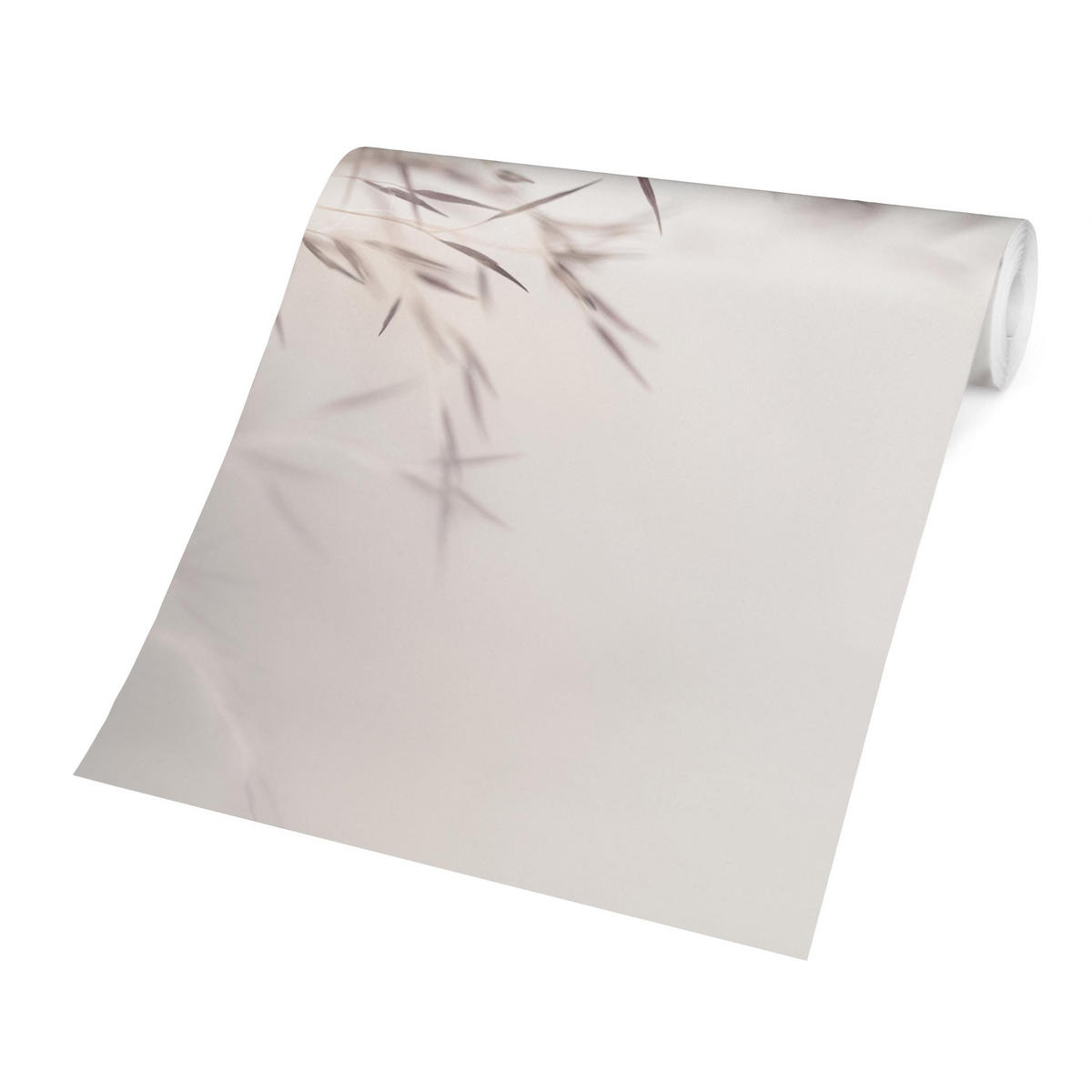 FOTOTAPETE Wiesengras Close Up 240/240 cm - Eichefarben, Papier (240/240cm) - Bilderwelten