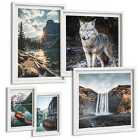 BILDER SET 5er Set - 50x50 cm & 20x30 cm & 40x60 cm Weißer Rahmen - Berge, Seen, Wasserfall, Wolf - Weiß, Kunststoff (40/60cm) - TULUP