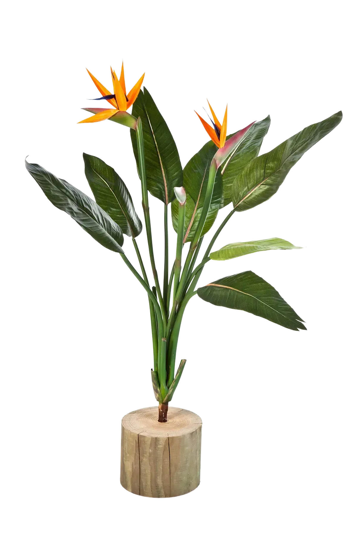 KÜNSTLICHE Strelitzia - Kali' 100 cm - Grün, Kunststoff (100cm) - aplanta