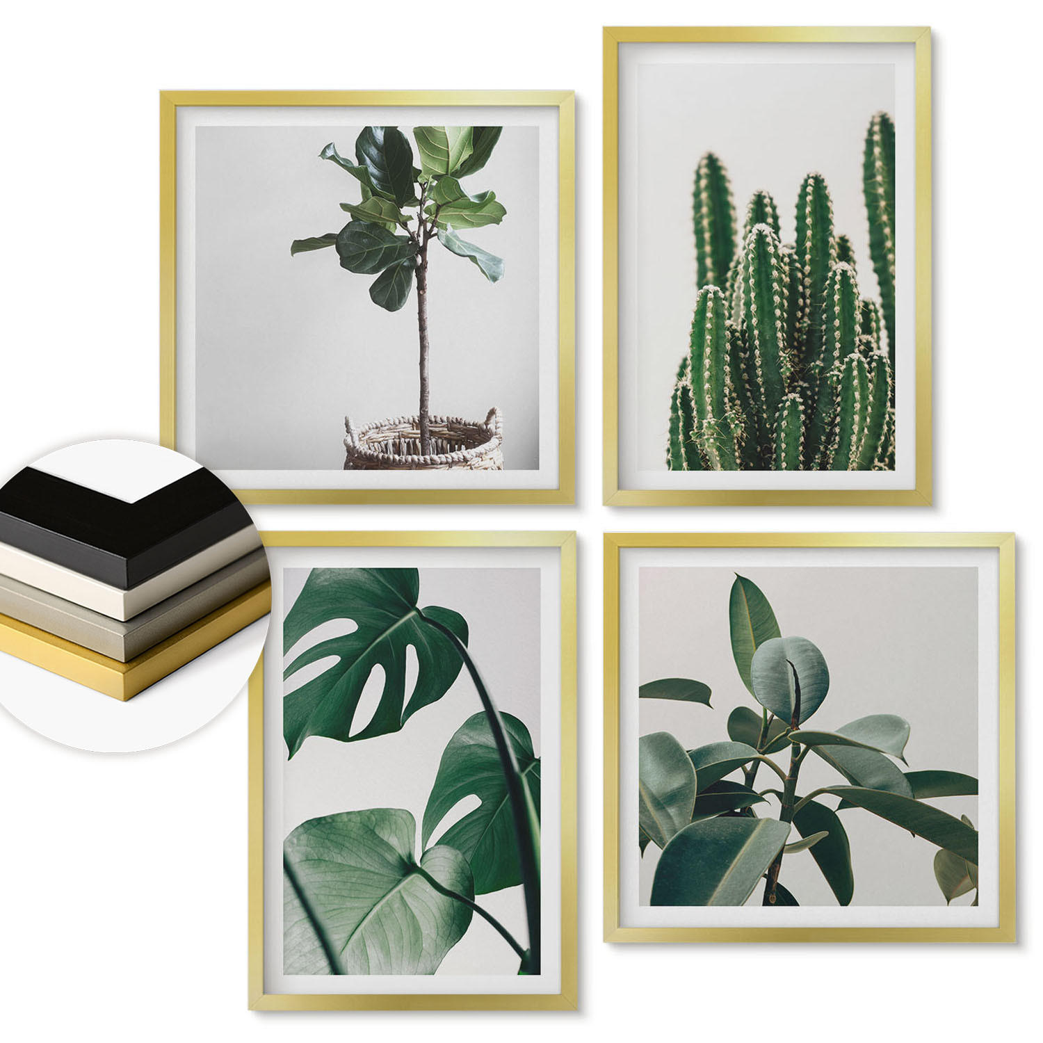 ArtPrintCave Wandbilder Gold 50x50 cm
