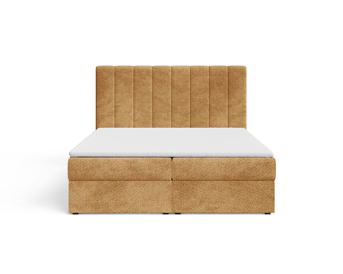 BOXBETT 01 160 x 200 cm - Arena – Stilvoll und bequem Mit Bettkasten, PU-Topper, Federmechanismus, waschbarer Bezug - Goldfarben, Holz (160/200cm) - ROYAL24_MARKT
