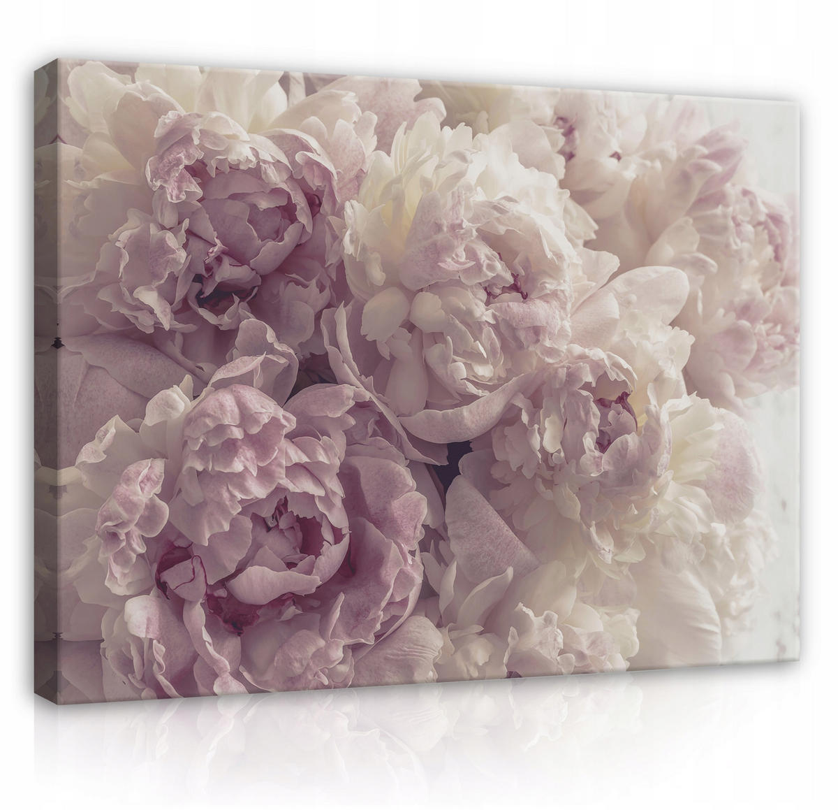 LEINWAND BILDER Blumen Schlafzimmer 60x40 - Multicolor, Holzwerkstoff (60/40cm) - Wallarena