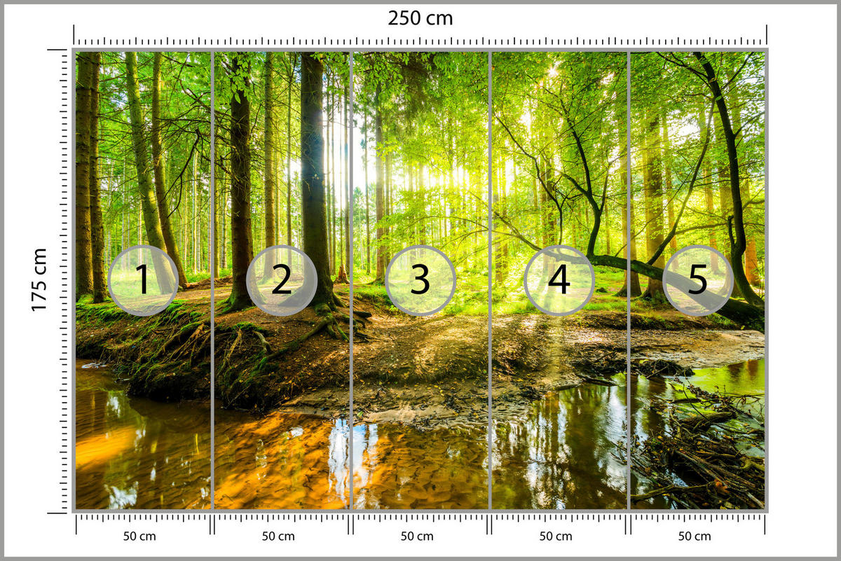 FOTOTAPETE für Wohnzimmer Waldlandschaft Bäume Blätter Frühling Grün 250x175 - Gelb/Orange, Papier (250/175cm) - Muralo