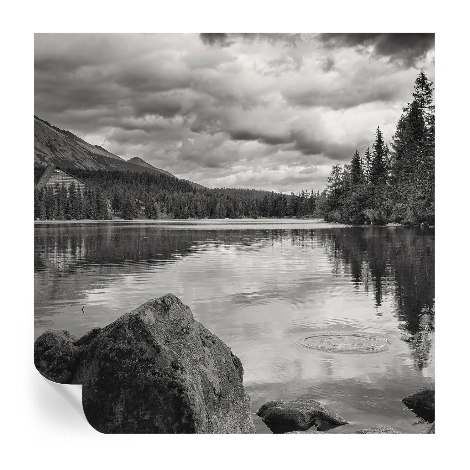 FOTOTAPETE 250x250 cm - Bergpanorama - Schwarz, Textil (250/250cm) - Wallfluent