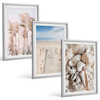BILDER SET 3er Set - 40x60 cm Silberner Rahmen - Strandmuscheln Seegras - Silberfarben, Kunststoff (40/60cm) - TULUP