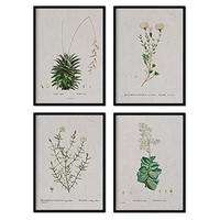 POSTER Set mit 4 mit weißen Blättern aus dem Künstler PierreJoseph Redouté A4 Schwarzer Rahmen - Schwarz, Papier (29.7/3cm) - Nacnic