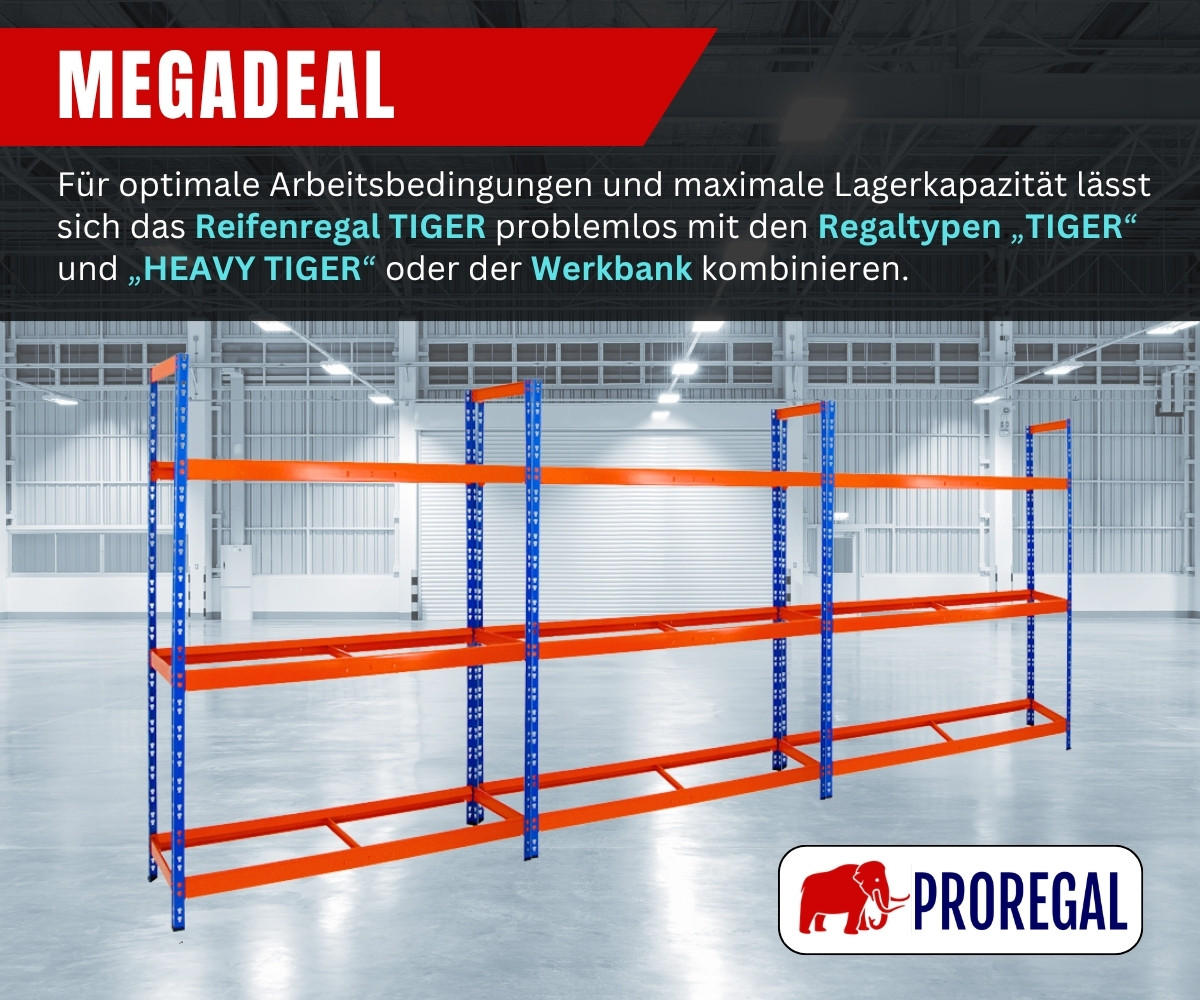 REIFENREGAL Tiger XL 200x150x45 cm 300 kg Fachlast bis zu 18 Reifen auf 3 Ebenen Blau/Orange - Blau/Orange, Metall (150/200/45cm) - PROREGAL