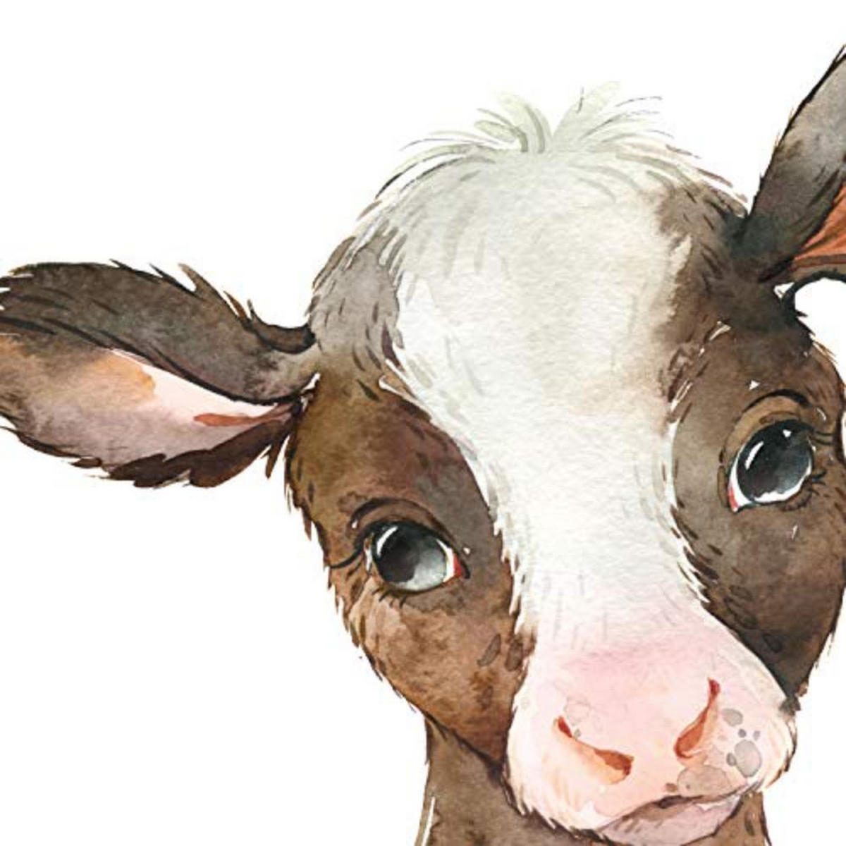 POSTER Set mit 4 Elefantenkuh Pferd und Zebra A3 Rahmenlos - Klar, Papier (29.7/3cm) - Nacnic