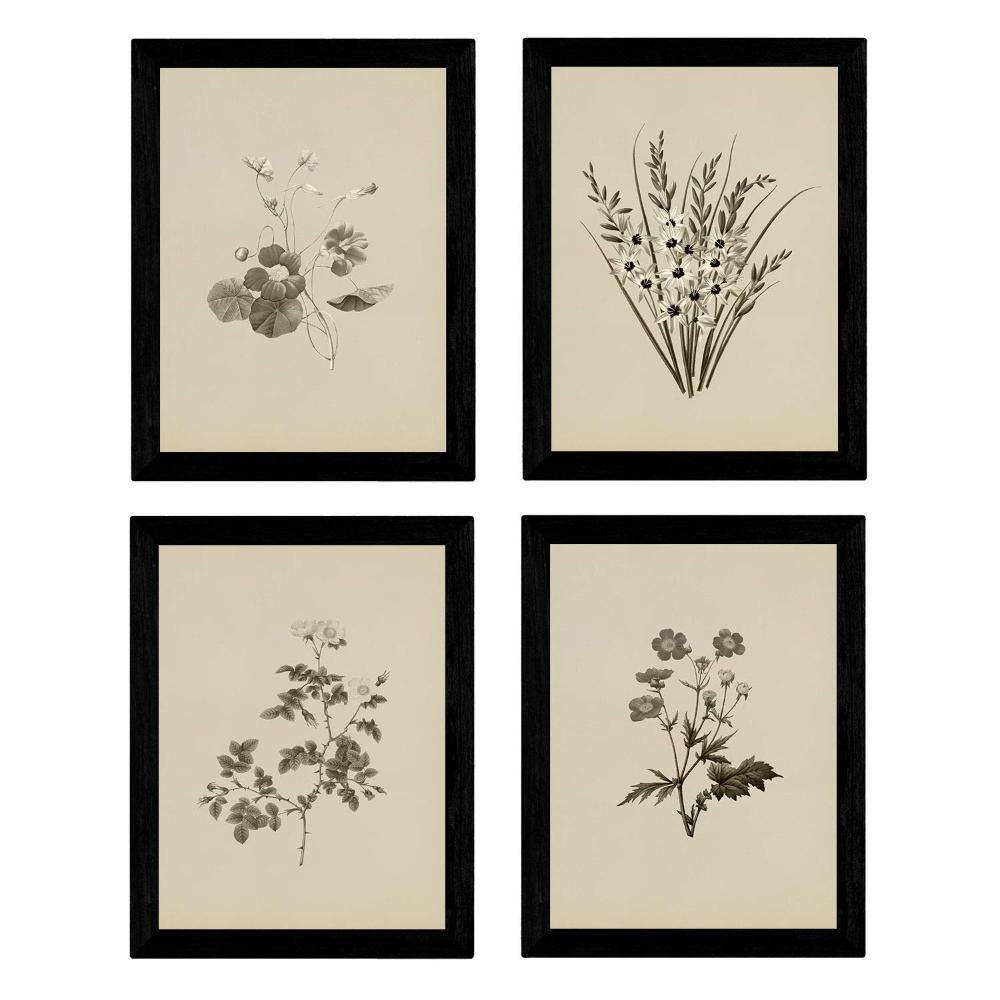POSTER Set mit 4 Botanischen Stils Sensitive A3 Rahmenlos - Klar, Papier (29.7/3cm) - Nacnic