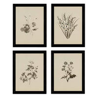 POSTER Set mit 4 Botanischen Stils Sensitive A3 Rahmenlos - Klar, Papier (29.7/3cm) - Nacnic