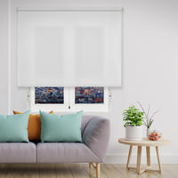 SEITENZUGROLLO lichtdurchlässig Basico - Weiß, Textil (90/250/250cm) - VIEWTEX