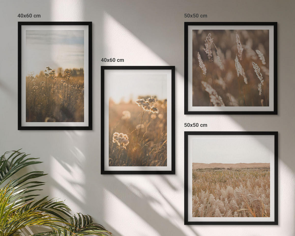 BILDER SET 4er Set - 50x50 cm & 40x60 cm Schwarzer Rahmen - Sommerwiesenblumen Sonnenuntergang - Schwarz, Kunststoff (50/50cm) - TULUP