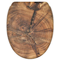 WC-SITZ mit Absenkautomatik & Top Fix Old Tree - Braun, Holzwerkstoff (37.7/5.5/48cm) - Sanilo