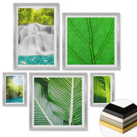 WANDBILDER 5er Set - 50x50 cm & 20x30 cm & 40x60 cm Silberner Rahmen - Nahaufnahme von tropischen Blättern - Silberfarben, Kunststoff (40/60cm) - ArtPrintCave