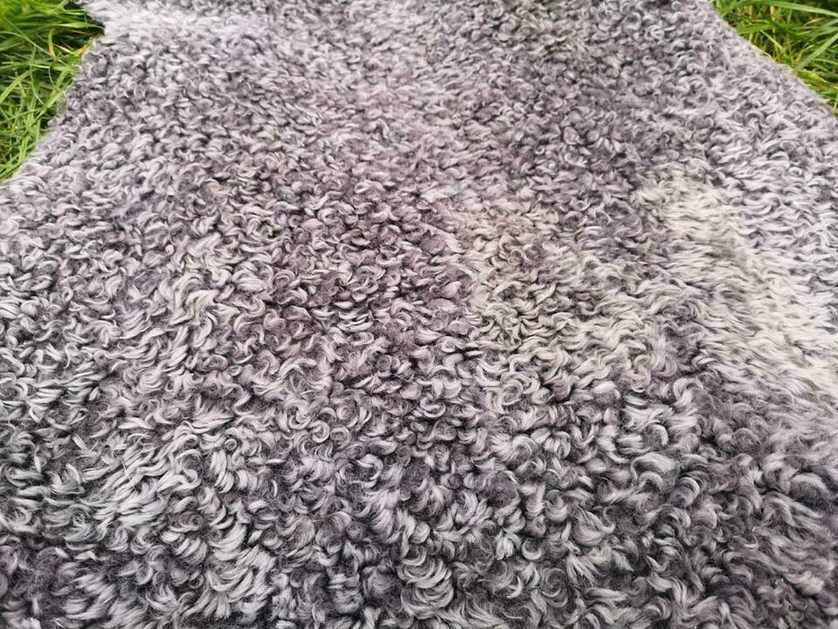 SCHAFFELL Gotland Kurzlockig Grau, ca. 110 cm - Grau, Fell (60/110cm) - Provellus