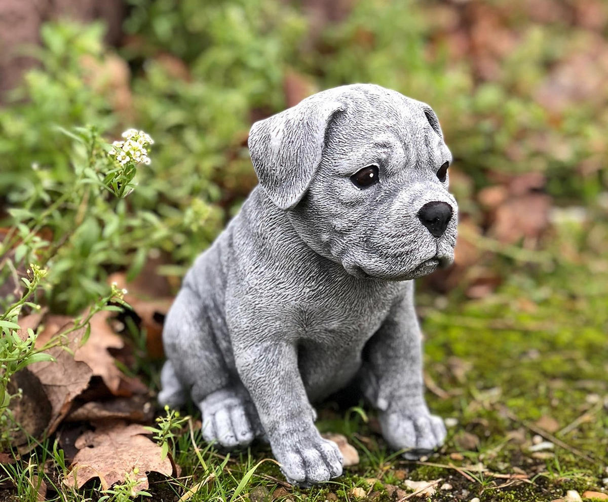 STEINFIGUR Boxer Welpe, frostfest, massiver Steinguss - Grau, Stein (12/16/16cm) - stoneandstyle