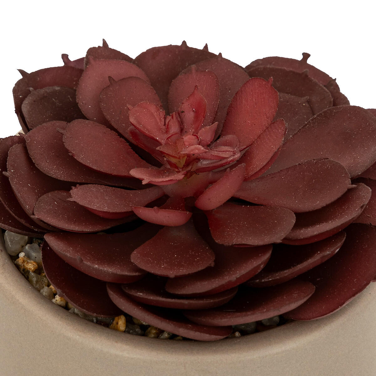 KÜNSTLICHER SUKKULENT Nils 12 cm - Taupe, Keramik (12cm) - Atmosphera Createur d´interieur