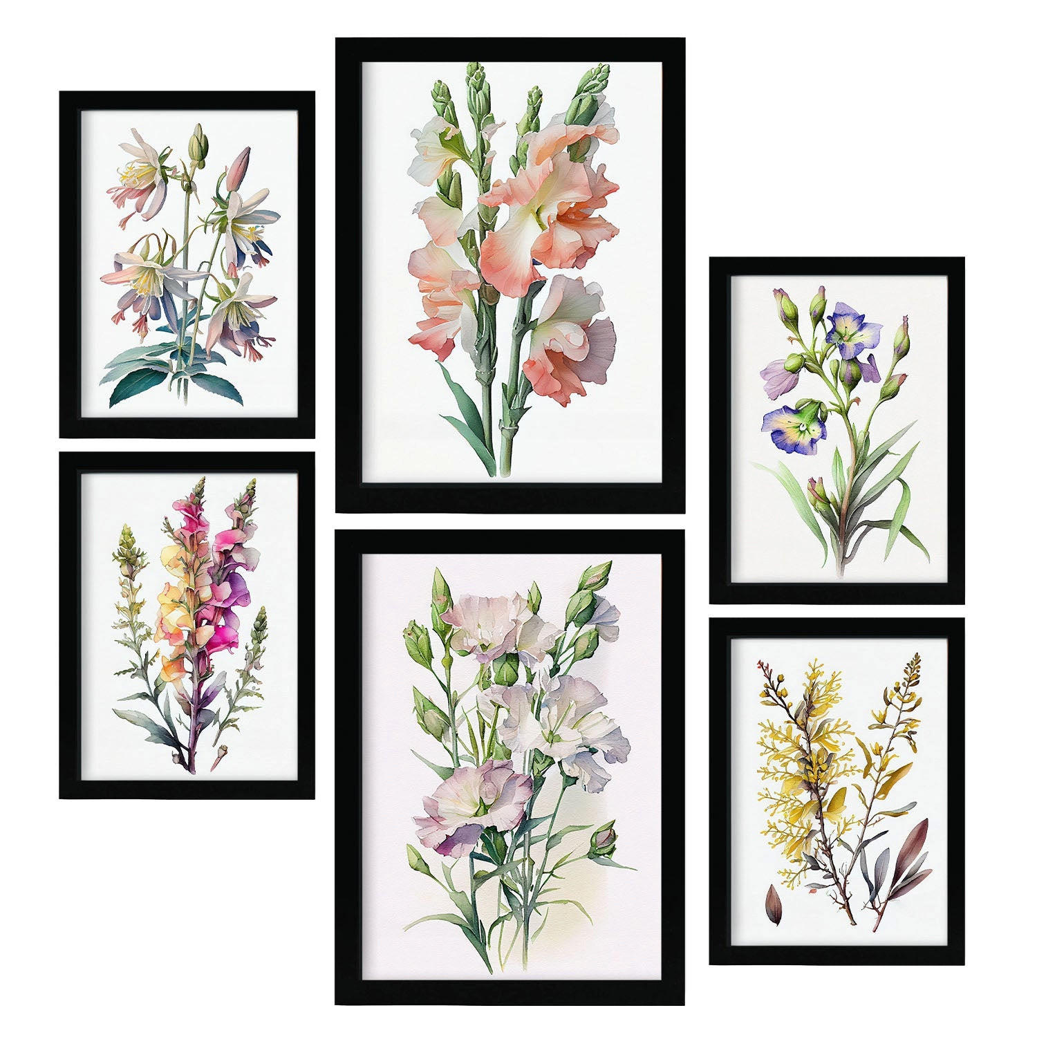 POSTER Set Mit 6 Wilde Blumen Vollfarbige Natur Und Botanikdrucke Mit Blumenmotiven Auf Reinweißen Hintergründen A3 & A4 Schwarzer Rahmen - Schwarz, Papier (29/3cm) - Nacnic