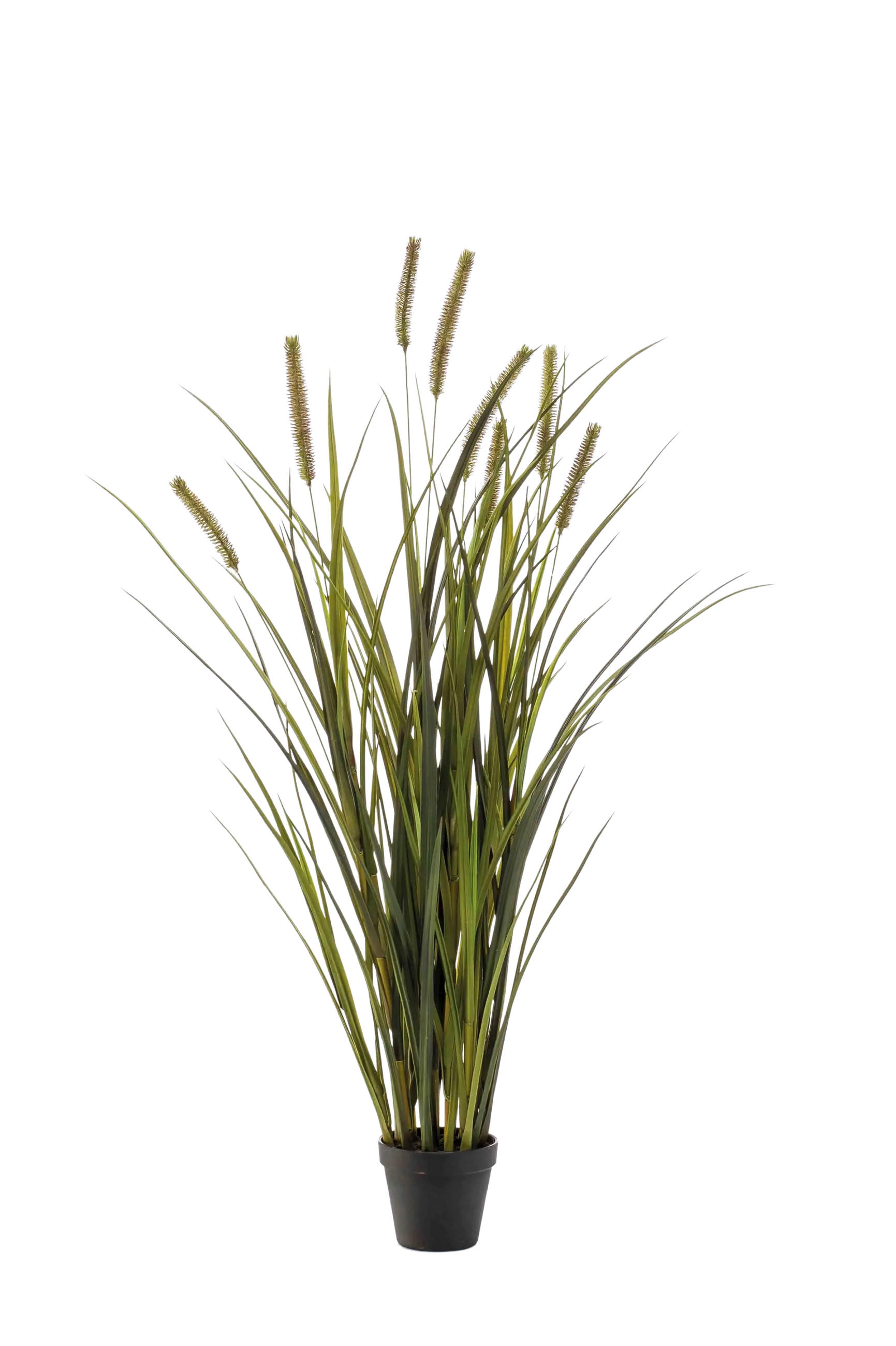 KUNSTPFLANZE Künstliches Federborstengras - Patrizia 100 cm - Grün, Kunststoff (100cm) - Emerald