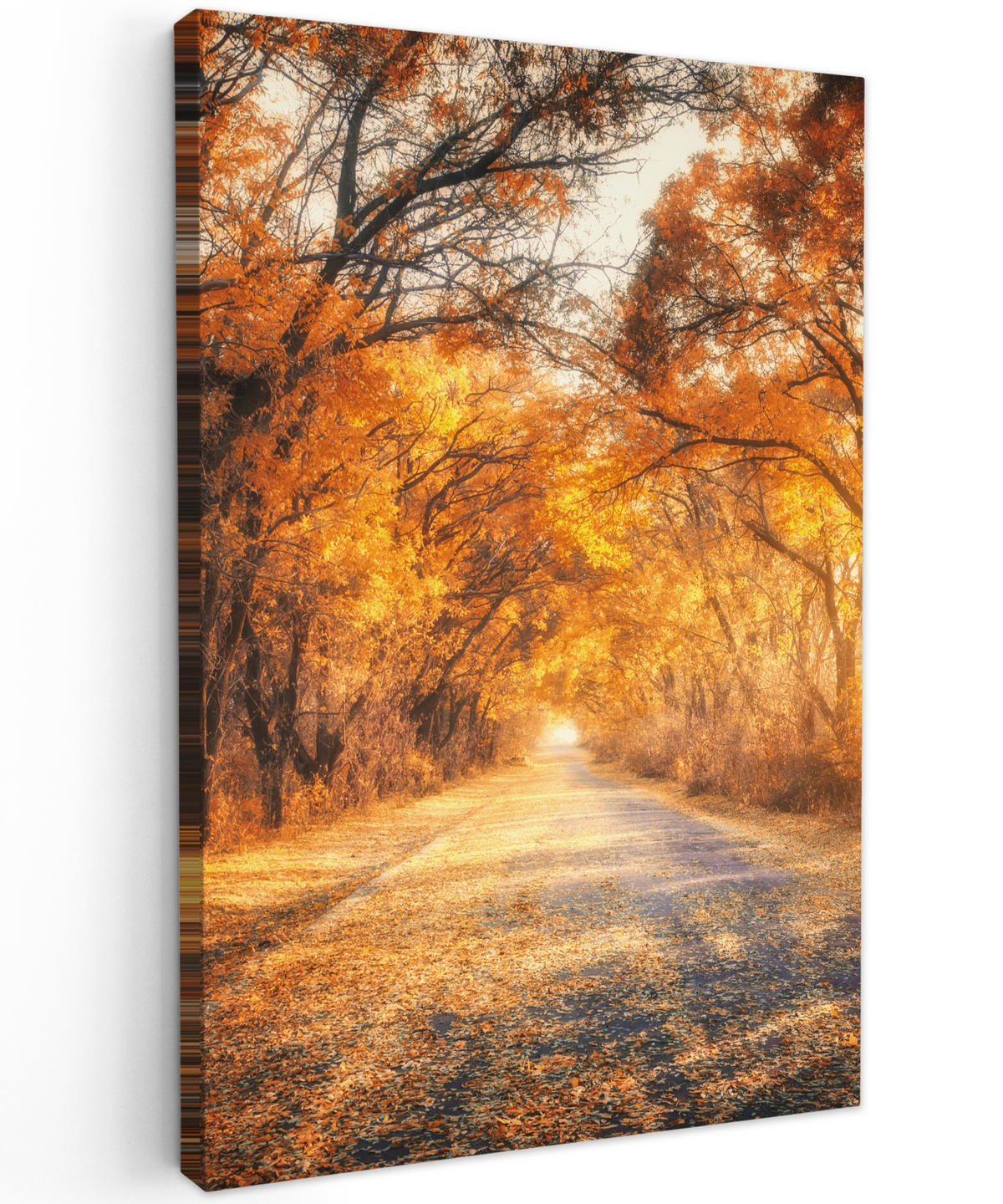 LEINWANDBILD Wald - Herbst - Bäume - Waldweg - Natur 40x60 cm - Bernsteinfarben, Textil (40/60cm) - MuchoWow