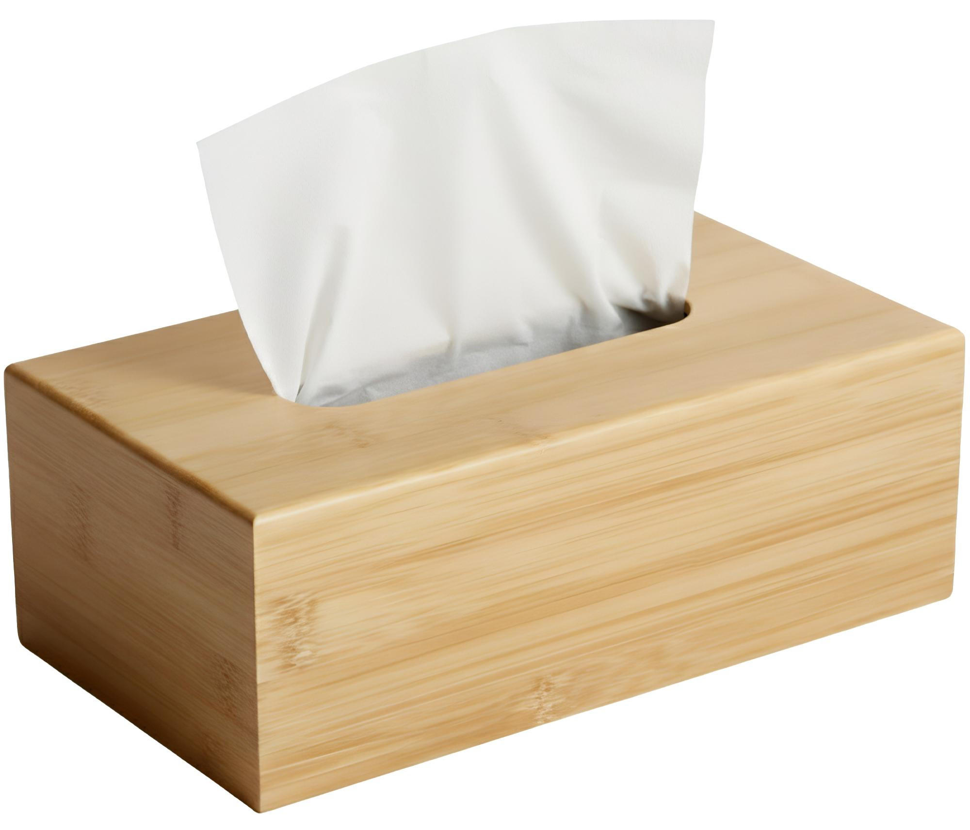 CLP Taschentuchbox Eukalyptusholz 25x9x13 cm