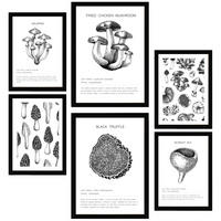 POSTER Set Mit 6 Dekorative Von Pilzarten, Blatt Mit A3 & A4 Schwarzer Rahmen - Schwarz, Papier (29/3cm) - Nacnic