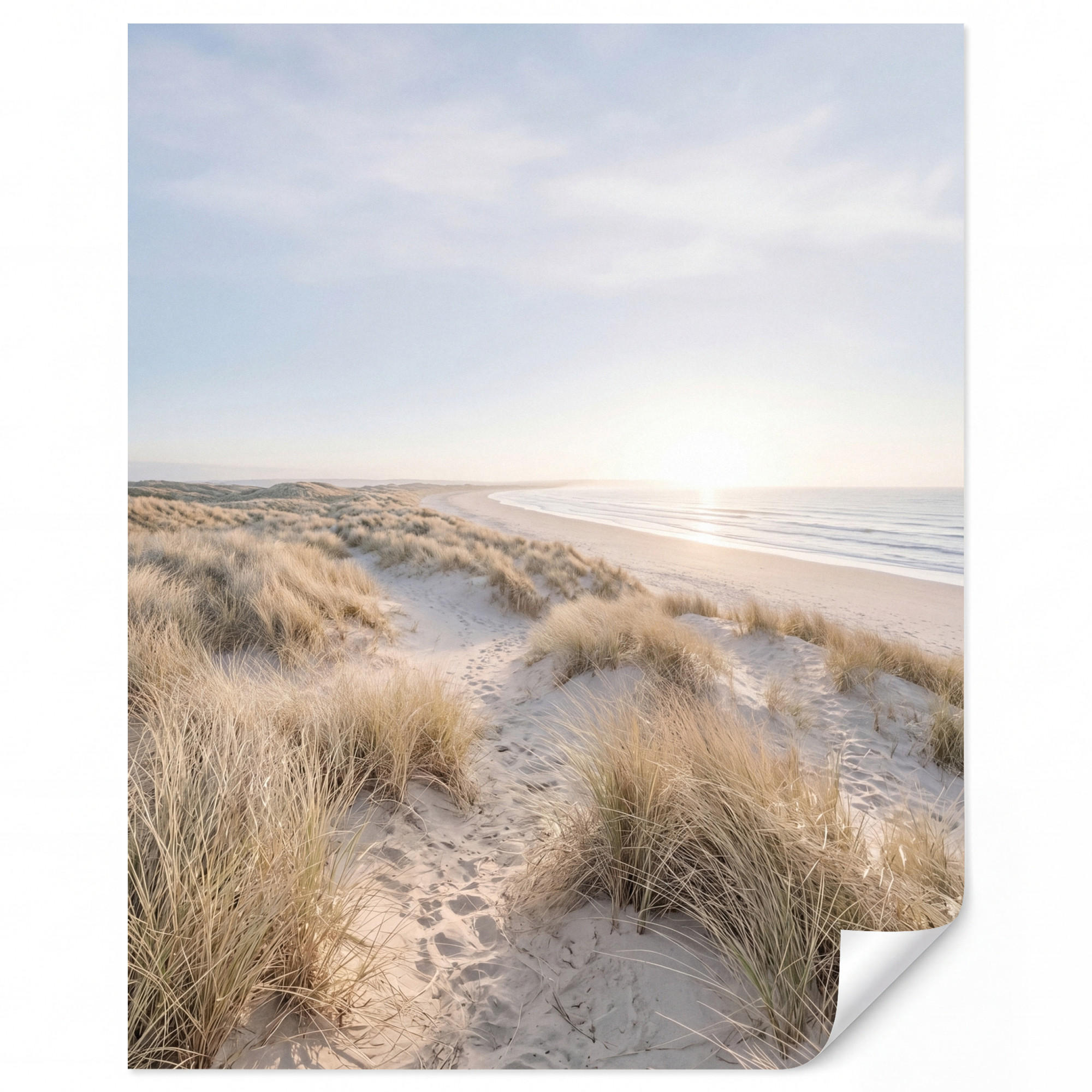 OnlyWow Tapete Sand 220x280 cm