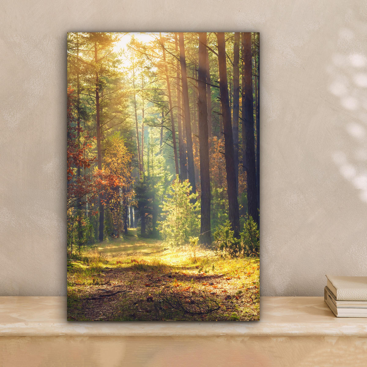 LEINWANDBILD Wald - Herbst - Bäume 20x30 cm - Dunkelgrün, Textil (20/30cm) - MuchoWow