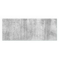 GLASPLATTE für Kamin 125x50 cm - Grau, Glas (125/50/0.4cm) - TULUP