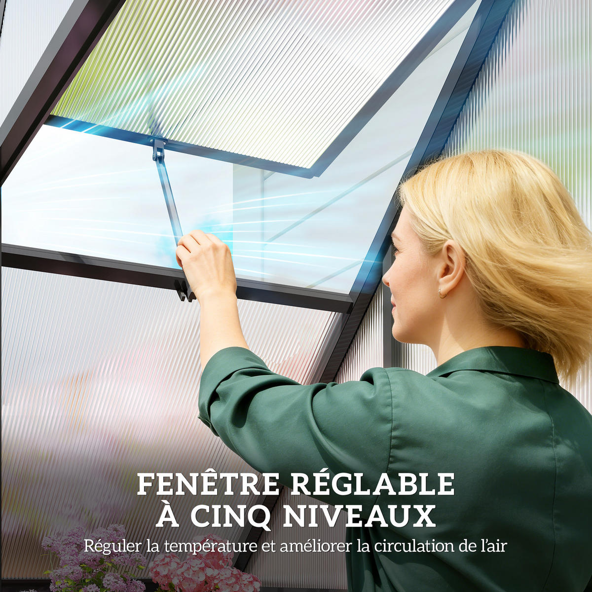 GEWÄCHSHAUS DE-12079 mit verstellbarem Fenster Transparent - Schwarz, Metall (58/195/170cm) - ComfortXL