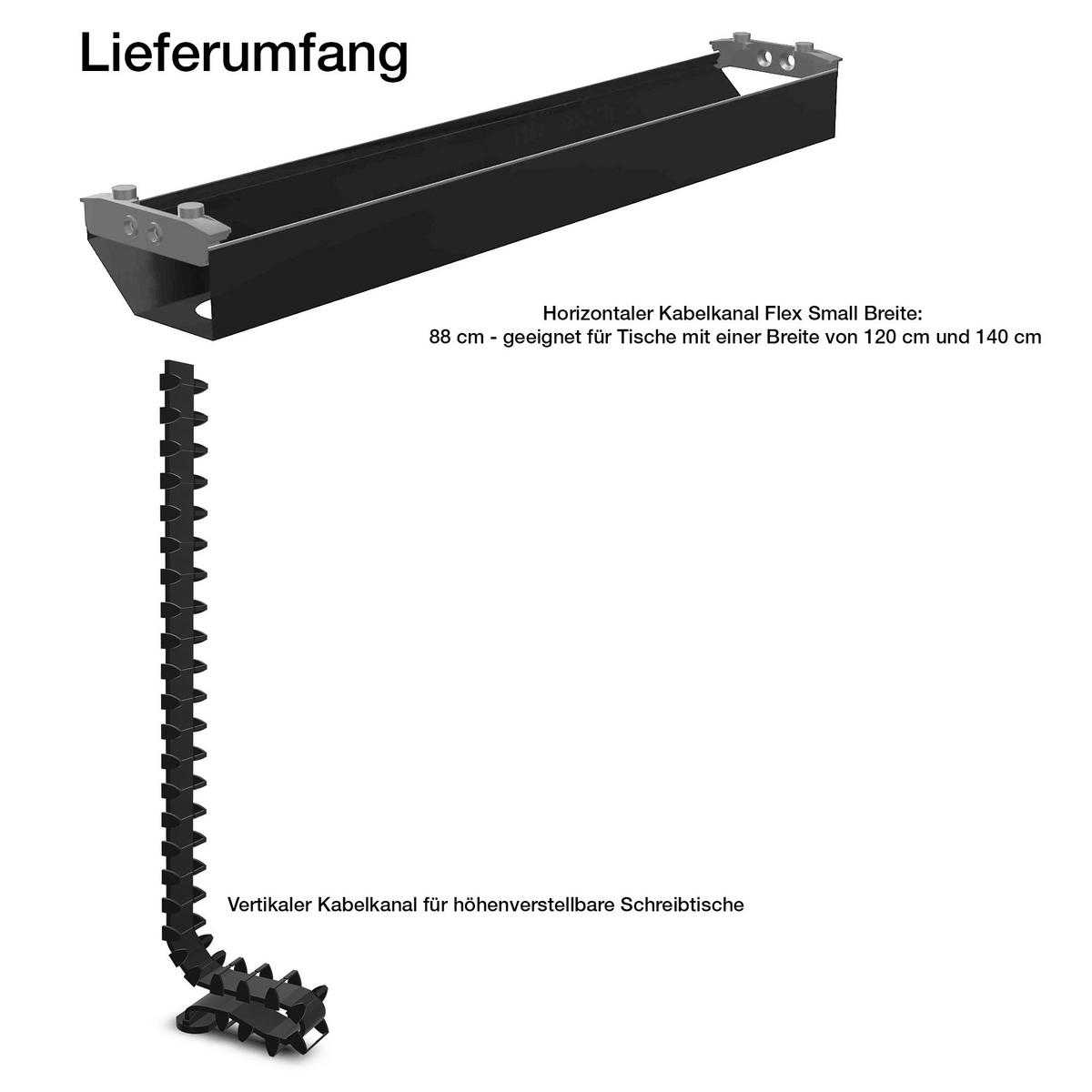 KABELMANAGEMENT-SET Horizontaler Kabelkanal Flex-small + Vertikale Kabelführung / Plus Vertikale Kabelführung Schwarz 880mm - Schwarz, Metall (16/88/10cm) - ASSMANN