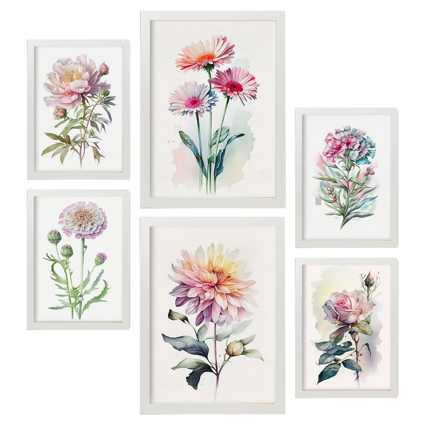 POSTER Set Mit 6 Rosen Vollfarbige Natur Und Botanikdrucke Mit Blumenmotiven Auf Reinweißen Hintergründen Innenarchitektur A3 & A4 Weißer Rahmen - Weiß, Papier (29/3cm) - Nacnic