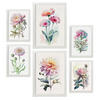 POSTER Set Mit 6 Rosen Vollfarbige Natur Und Botanikdrucke Mit Blumenmotiven Auf Reinweißen Hintergründen Innenarchitektur A3 & A4 Weißer Rahmen - Weiß, Papier (29/3cm) - Nacnic