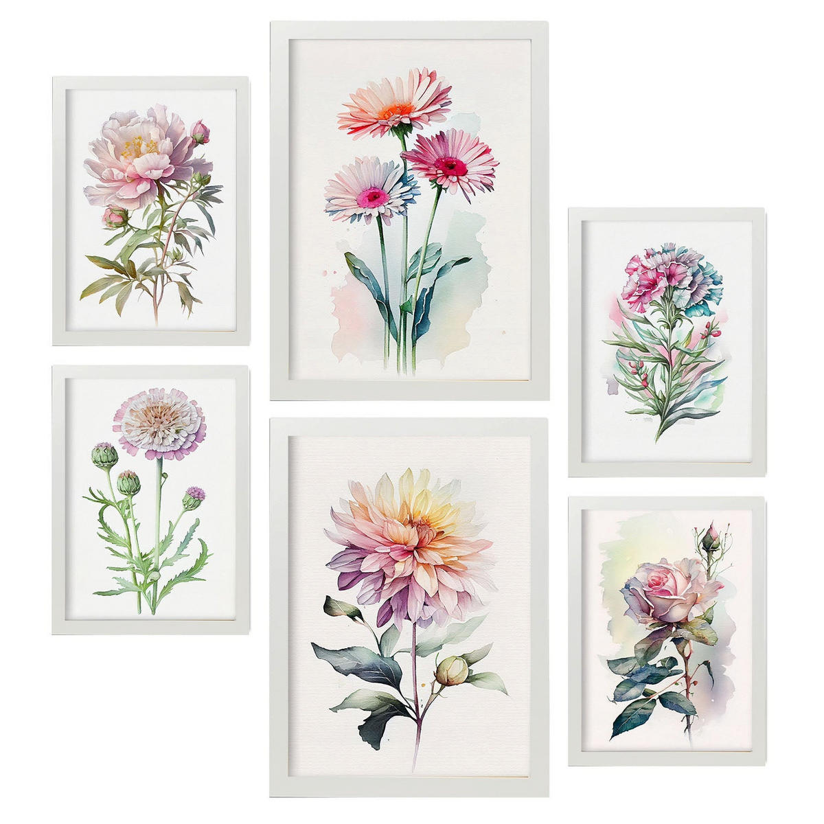 POSTER Set Mit 6 Rosen Vollfarbige Natur Und Botanikdrucke Mit Blumenmotiven Auf Reinweißen Hintergründen Innenarchitektur A3 & A4 Weißer Rahmen - Weiß, Papier (29/3cm) - Nacnic