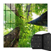 SCHLÜSSELBOX Schwarz 30x30 cm- Türöffnung nach rechts - Waldhimmel - Grün, Metall (30/30/5cm) - TULUP